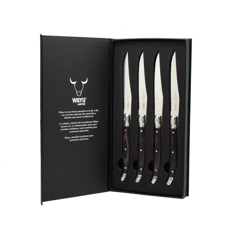 Set 4 Cuchillos Black Mesa