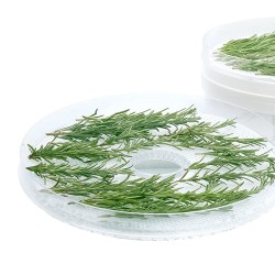 Deshidratador de alimentos